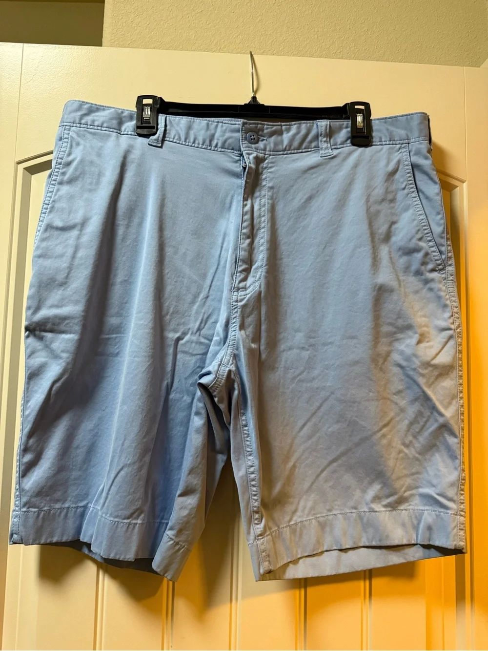 Daniel Cremieux Light Blue Cotton Chino Shorts